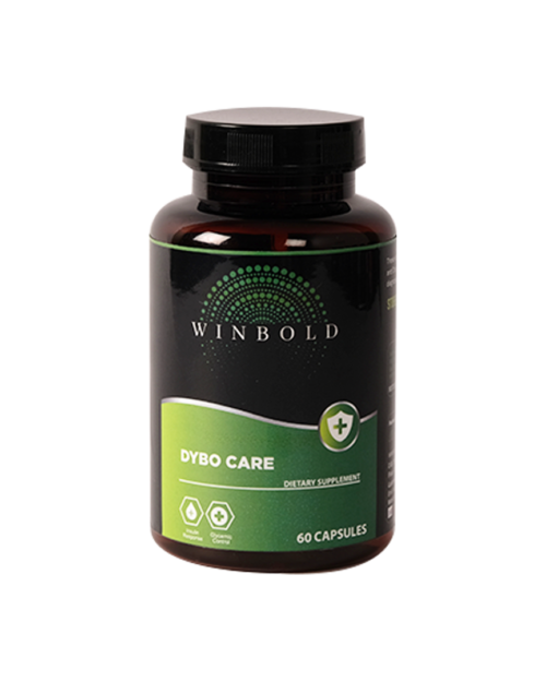 Winbold Dybo Care